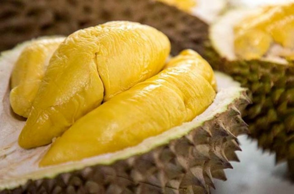 SS2 Durian Boy Corner Fresh Musang King