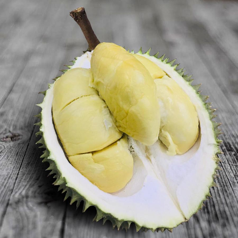 SS2 Durian Boy Corner Fresh XO Durian