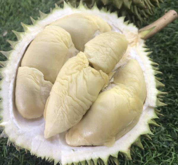 SS2 Durian Boy Corner Fresh Sultan King